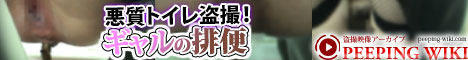盗撮映像アーカイブ PEEPING WIKI